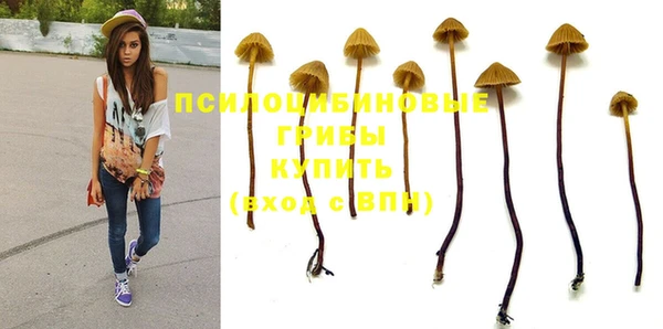 дурь Аркадак